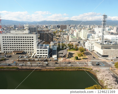 Saka's cherry tree 124621169