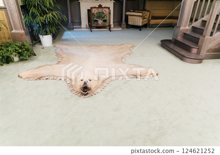 Bear skin on the floor in the interior of the living room Bear skin on the floor in the interior of the living room 124621252