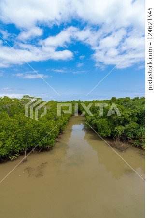 島尻巴塔拉祖紅樹林 124621545