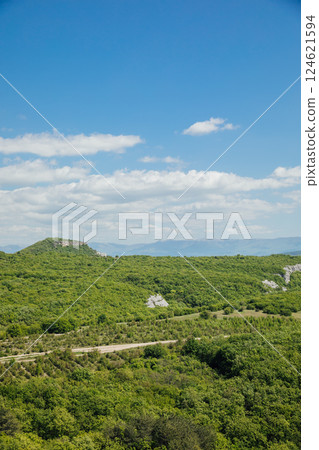 Beautiful scenery from the top of the cliff to the mountain forest 124621594