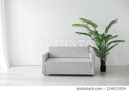 Gray office sofa and green plant in the interior of a white room with a window Gray office sofa and green plant in the interior of a white room with a window 124621634