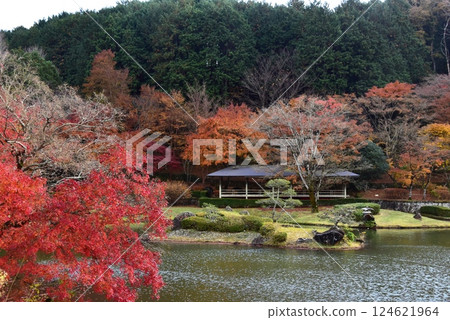 Izu City: Iris pond and autumn leaves at the Shuzenji Niji no Sato Japanese Garden 124621964