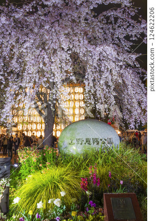 東京上野公園,盛開的垂枝櫻花 東京上野公園,盛開的垂枝櫻花 124622206