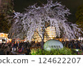 Ueno Park, weeping cherry blossoms in full bloom, Tokyo Ueno Park, weeping cherry blossoms in full bloom, Tokyo 124622207