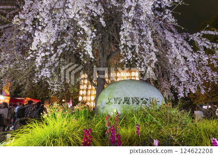 Ueno Park, weeping cherry blossoms in full bloom, Tokyo Ueno Park, weeping cherry blossoms in full bloom, Tokyo 124622208