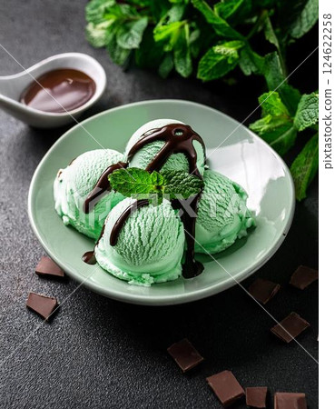 巧克力薄荷冰淇淋。薄荷冰淇淋和巧克力醬。 124622258