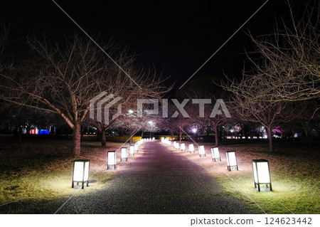 櫻花名勝東雲公園亮燈 / 栃木縣壬生町 櫻花名勝東雲公園亮燈 / 栃木縣壬生町 124623442