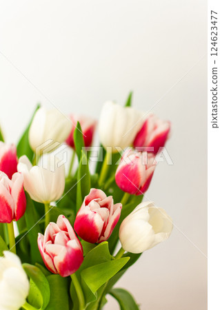 Beautiful spring bouquet of pink and white tulips in a glass vase Beautiful spring bouquet of pink and white tulips in a glass vase 124623477