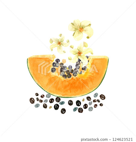 Papaya slice with seeds and flowers watercolor textured illustration isolated on white. The hand-painted tropical fruit clip art is perfect for culinary designs, labels, prints, cards, packages menu 124623521