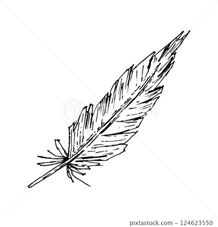 Hand drawn ink illustration of a pointed bird feather. Monochrome vector with textured lines and rustic style. Ideal for farm-themed projects, textile patterns, wedding stationery and crafts. Hand drawn ink illustration of a pointed bird feather. Monochrome vector with textured lines and rustic style. Ideal for farm-themed projects, textile patterns, wedding stationery and crafts. 124623550