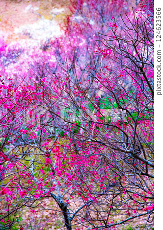 Plum blossom hill Plum blossom hill 124623566