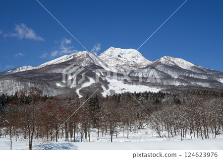 Myoko Kogen in a clear, snowy day. Ski slopes stretch out along the foothills of Mt. Myoko. Myoko Kogen in a clear, snowy day. Ski slopes stretch out along the foothills of Mt. Myoko. 124623976
