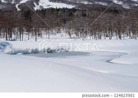 妙高高原的冬日晴朗，白雪皚皚，伊守池結冰 124623981