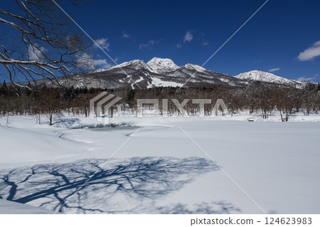 妙高高原一個晴朗的冬日，白雪皚皚。樹木在結冰的伊守池上投下陰影，妙高山被白雪覆蓋 124623983