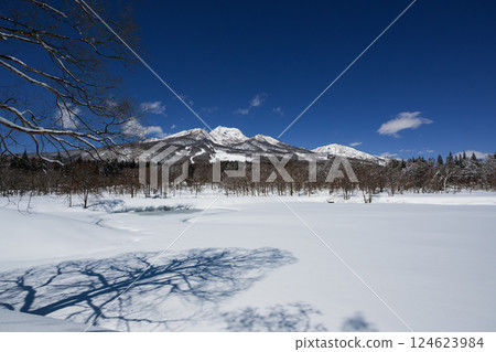A clear winter day in Myoko Kogen, covered in snow. Trees casting shadows on the frozen Imori Pond and Mt. Myoko covered in snow 124623984