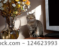 A beautiful striped coloring cat sits on a table near a bouquet of flowers, looking with interest 124623993