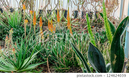 Garden wheelbarrow plants Garden wheelbarrow plants 124624039