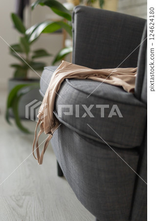 Underwear draped over armchair in disorganized home interior. Daily chaos, messiness, and the unnoticed buildup of household disorder Underwear draped over armchair in disorganized home interior. Daily chaos, messiness, and the unnoticed buildup of household disorder 124624180