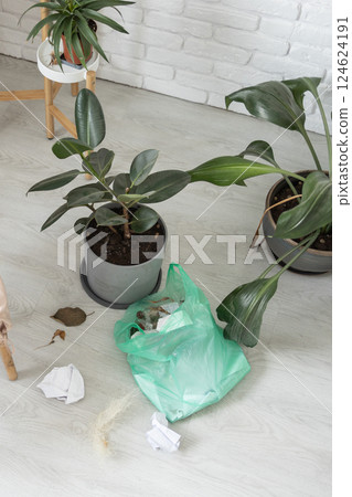 Messy corner with indoor plants and a plastic trash bag on the floor. Household disorder and lack of cleanliness in everyday life. Messy corner with indoor plants and a plastic trash bag on the floor. Household disorder and lack of cleanliness in everyday life. 124624191