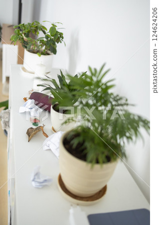 Unorganized shelf with indoor plants, paper trash, and random objects scattered. Untidiness and household clutter caused by everyday neglect 124624206