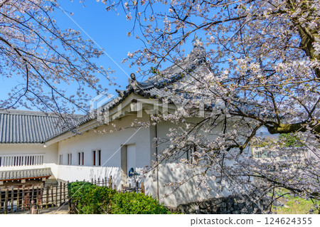 Yamagata Castle Cherry Blossoms in Full Bloom 124624355