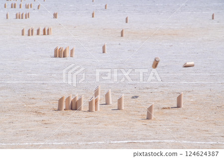 冰上曲棍球錦標賽 124624387