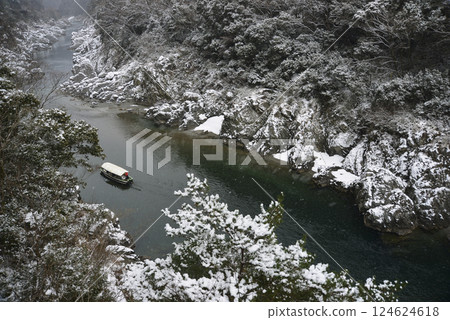 遊覽白雪皚皚的大步危峽谷 124624618