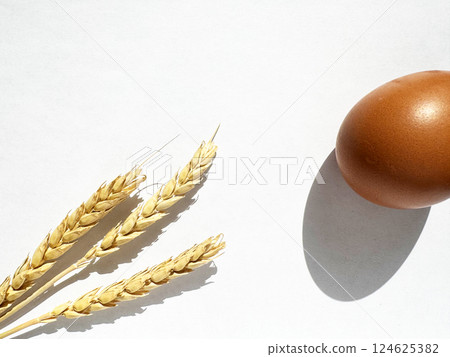 Wheat Stalks and Egg on White Background Display 124625382