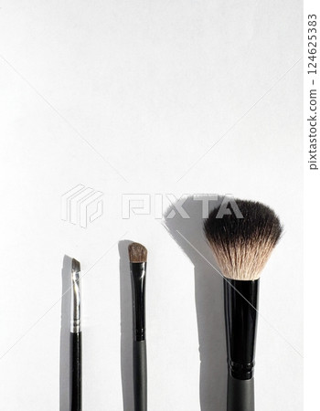 Professional Makeup Brushes on a White Background Professional Makeup Brushes on a White Background 124625383