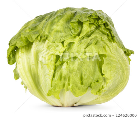 Lettuce on white background Lettuce on white background 124626000
