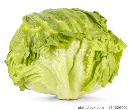 Lettuce on white background 124626001