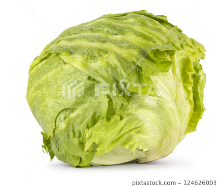 Lettuce on white background 124626003
