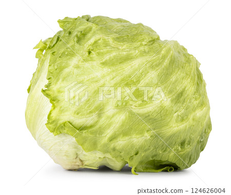 Lettuce on white background 124626004