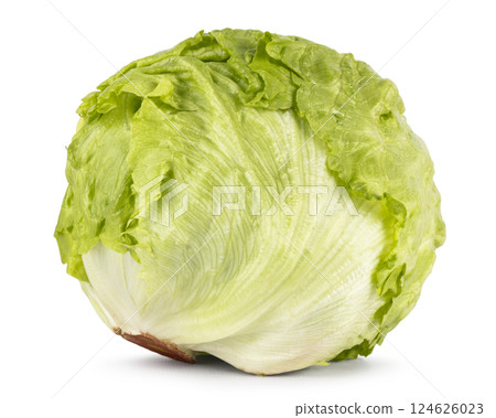 Lettuce on white background 124626023