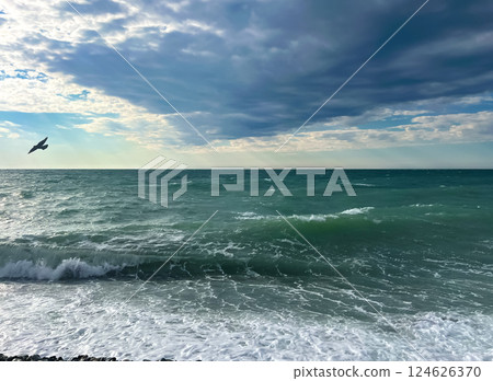 Black Sea in autumn in Sochi 124626370