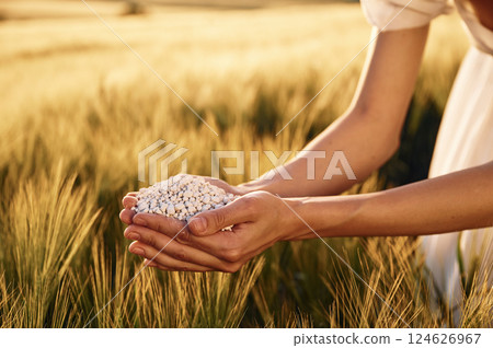 Natural component. Close up view of perlite in woman's hands that is on the agricultural field 124626967