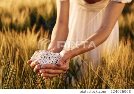 Natural component. Close up view of perlite in woman's hands that is on the agricultural field 124626968