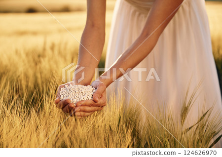 Natural component. Close up view of perlite in woman's hands that is on the agricultural field Natural component. Close up view of perlite in woman's hands that is on the agricultural field 124626970
