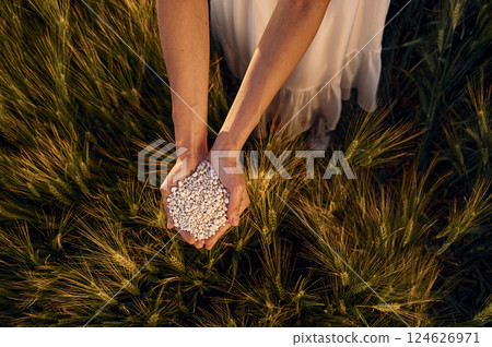 Many of the objects. Close up view of perlite in woman's hands that is on the agricultural field Many of the objects. Close up view of perlite in woman's hands that is on the agricultural field 124626971