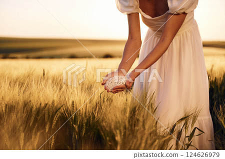 Quality product. Close up view of perlite in woman's hands that is on the agricultural field 124626979