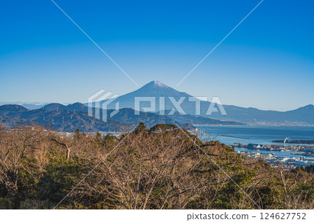 靜岡市（靜岡縣）冬日晴朗早晨的日本平風景 124627752