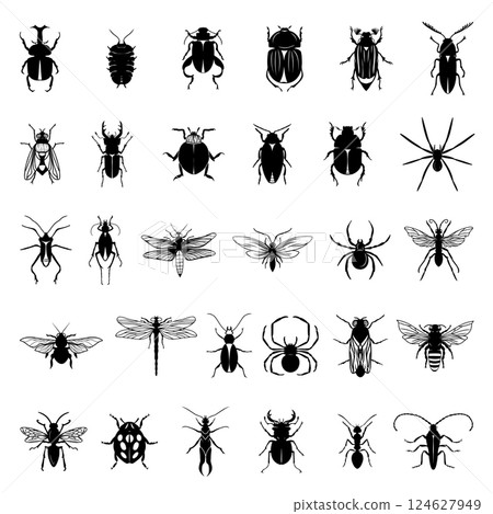Collection of black insects isolated on a white background. Collection of black insects isolated on a white background. 124627949