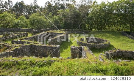 Castro de Romariz 124629310