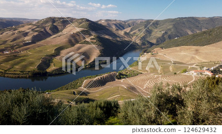 View of the terraced vineyards in the Douro Valley 124629432