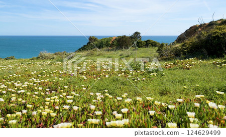 Cliffs view on Lagos, Algarve Cliffs view on Lagos, Algarve 124629499