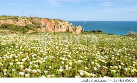 Cliffs view on Lagos, Algarve 124629500
