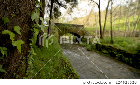 Old rock bridge over Filveda river 124629526