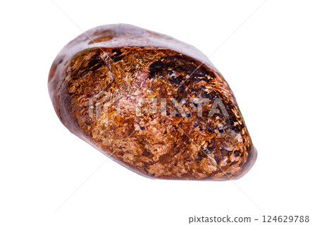 bronzite mineral stone on white background 124629788