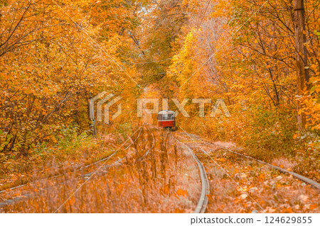 Autumn forest through which the tram travels, Kyiv and rails 124629855