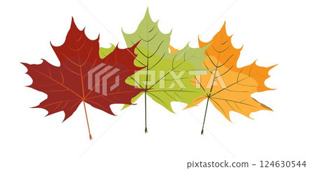 Maple leaves logo 124630544